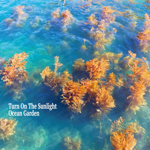 Ocean Garden - Turn on the Sunlight