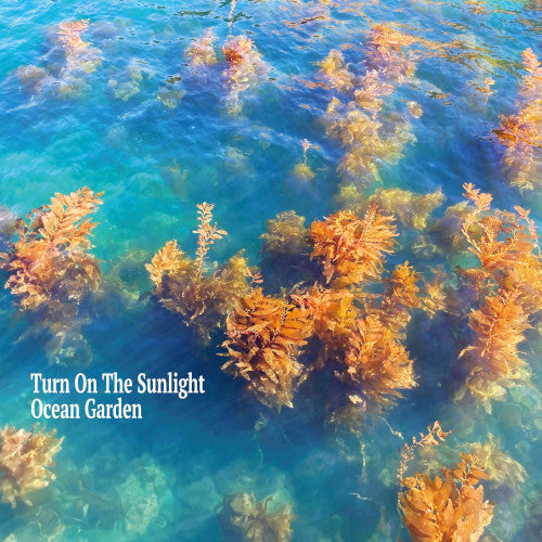 Ocean Garden - Turn on the Sunlight (CD)