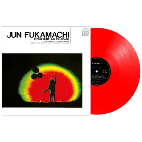 Introducing Vinyl Record
