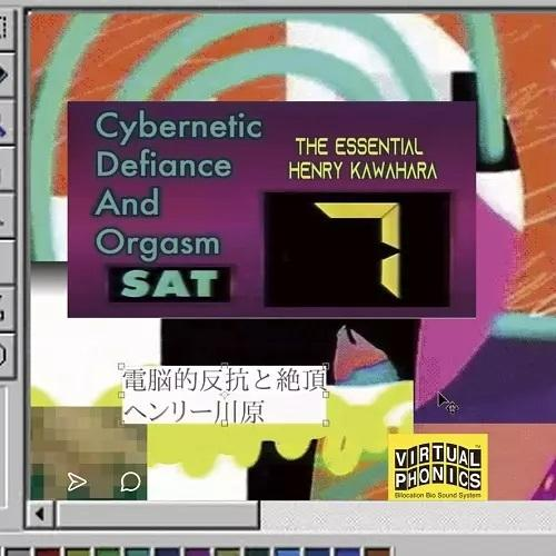 The Essential: Cybernetic Defiance And Orgasm