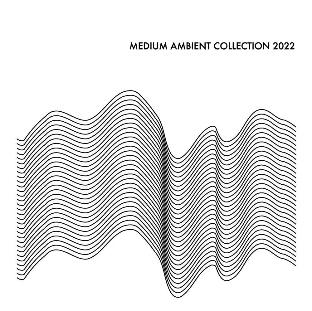 Medium Ambient Collection 2022 – Very Ok Vinyl