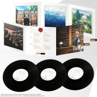 その他 VIOLET EVERGARDEN Special Vinyl Violet Evergarden – Very Ok Vinyl
