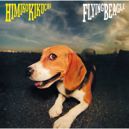 Dog lying on the ground looking up at the camera with 'Himiko Kikuchi Flying Beagle' text overlay