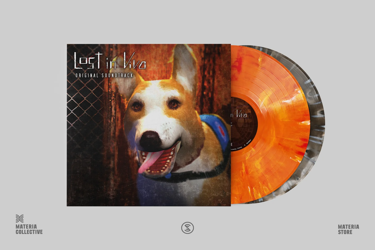 Lost in Vivo – Very Ok Vinyl