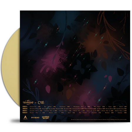 Wanderstop Vinyl Record Back