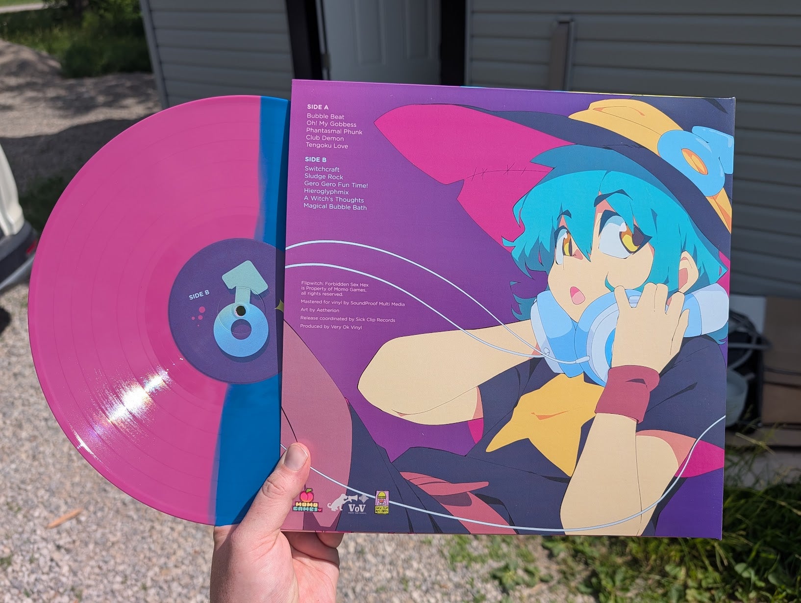 FlipWitch - Forbidden Sex Hex – Very Ok Vinyl