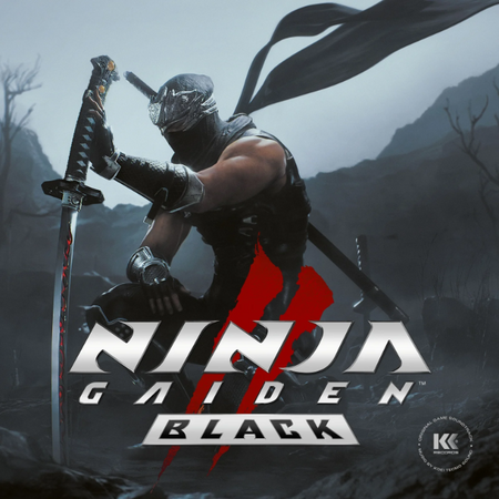 Ninja Gaiden II - Black Vinyl Record