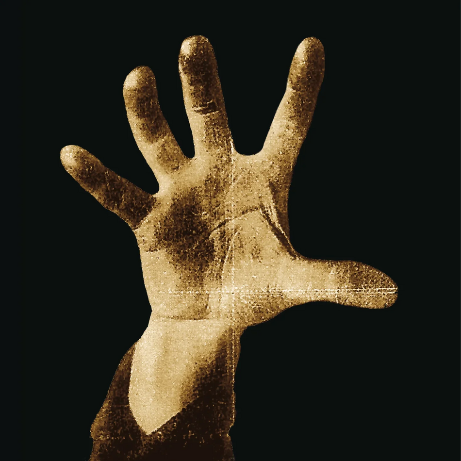 System of a Down Vinyl Record