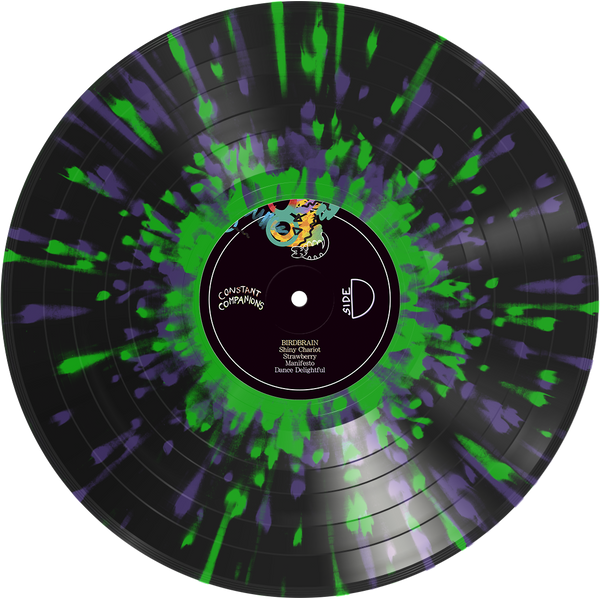 Jamie Paige - Constant Companions (2LP, Deluxe Edition)