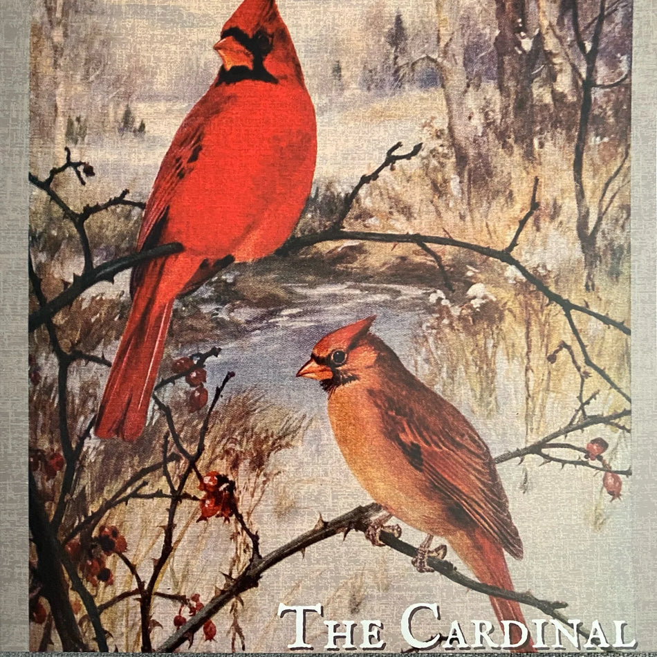 The Cardinal