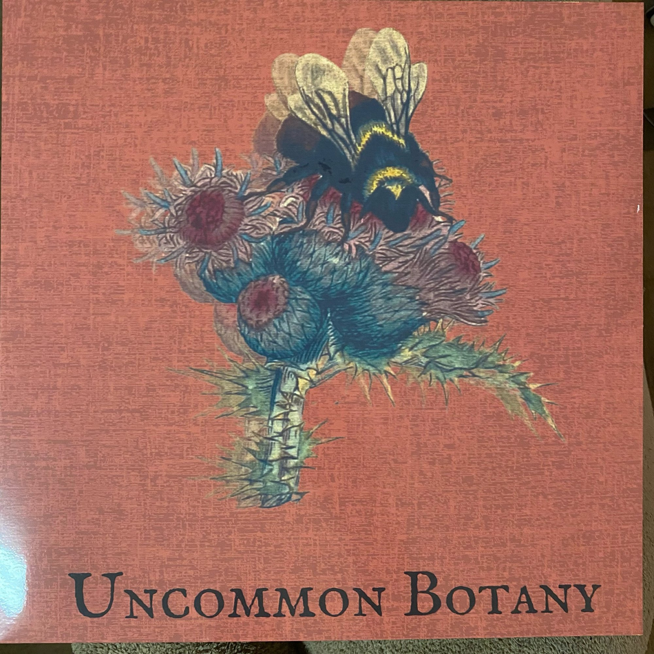 Uncommon Botany