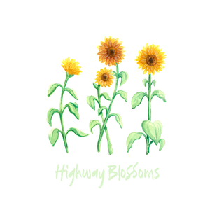 Highway Blossoms Original Soundtrack (Selections) - Test Press Bundle *PREORDER*
