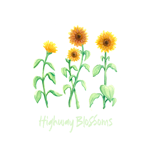 Highway Blossoms Original Soundtrack (Selections) - Test Press Bundle *PREORDER*