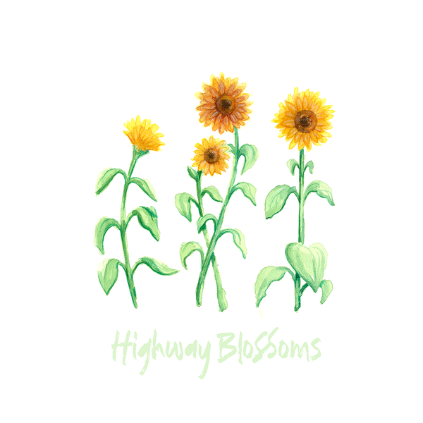Highway Blossoms Original Soundtrack (Selections) - Test Press Bundle
